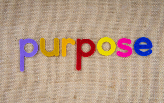 Our Purpose